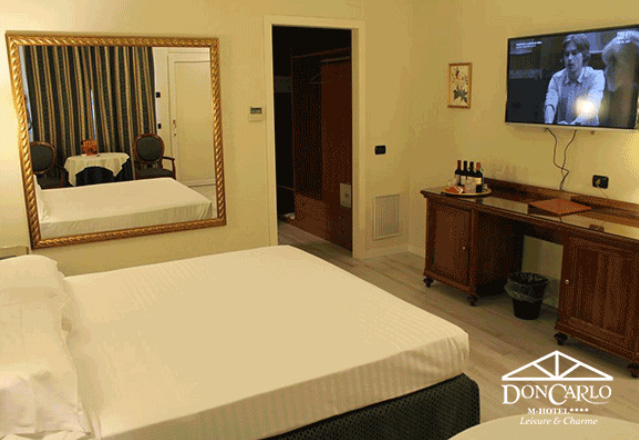 Suite Executive STD uso singolo - Immagine 1